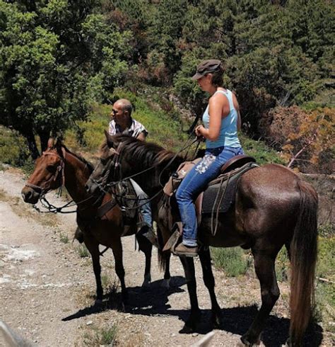 Ass Ranch Jose à Solaro