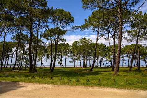 Atlanticsun Sanguinet à Sanguinet