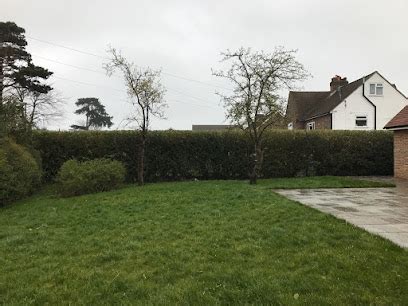 Auckland Tree Surgeons - Oxted Surrey