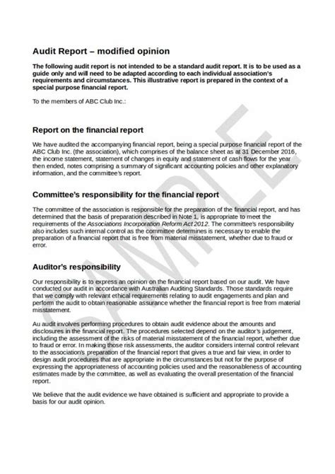 Audit Opinion Template