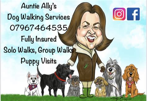 Auntie Ally's Dog Walking