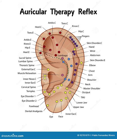 Auricular Therapy Chart
