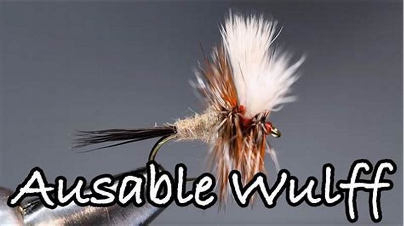 Ausable Wulff Pattern