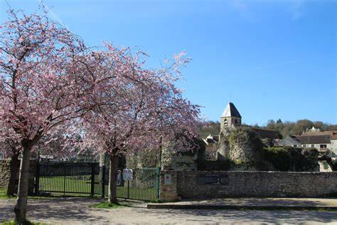 Auti-Ecole à Beynes