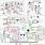 Automotive-Wiring-Diagram