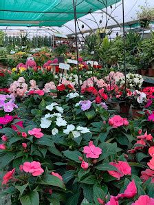 Aux Fleurs de Coulonges à Sablons-sur-Huisne