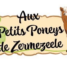Aux Petits Poneys de Zermezeele à Zermezeele
