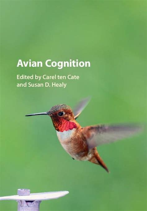 %% Free Avian Cognition Pdf Books