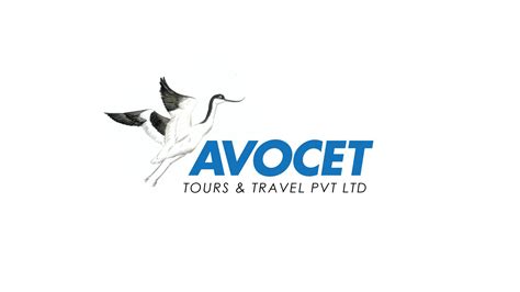 Avocet Tours and Travel Pvt Ltd