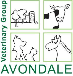 Avondale Veterinary Group