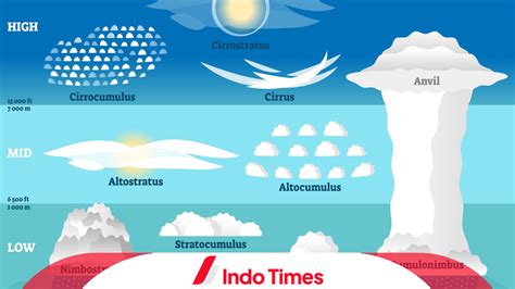 Awan