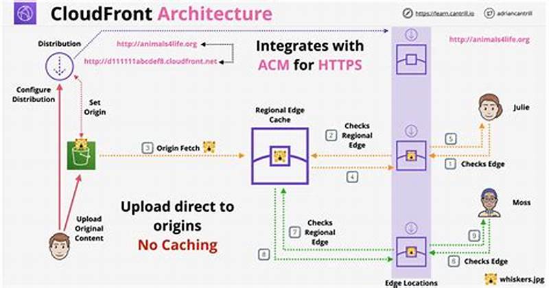 Aws Cloudfront Behavior Path Pattern