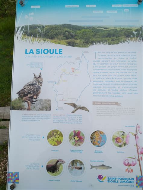 Axereal à Espinasse