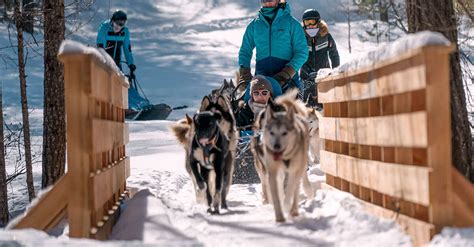 Azak Mushing à Abriès-Ristolas