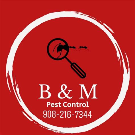 B M Pest Control