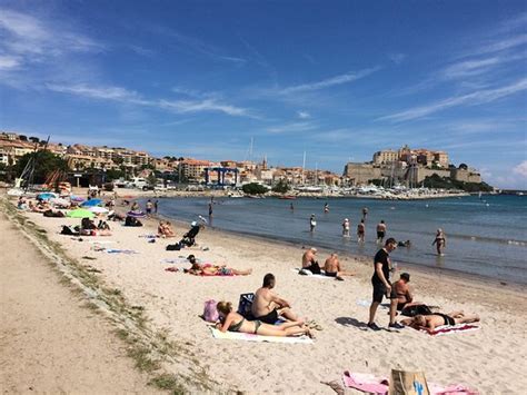 BB Beach Calvi à Calvi