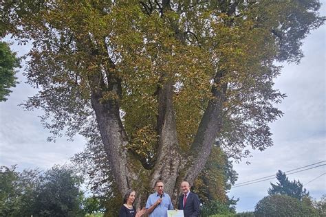 BNP Paribas - Chablis à Chablis