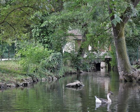 BUI QUOC Thac à Gradignan