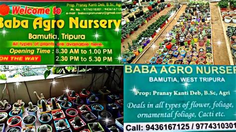 Baba Agro Nursery.