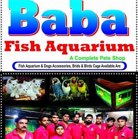Baba Fish Center