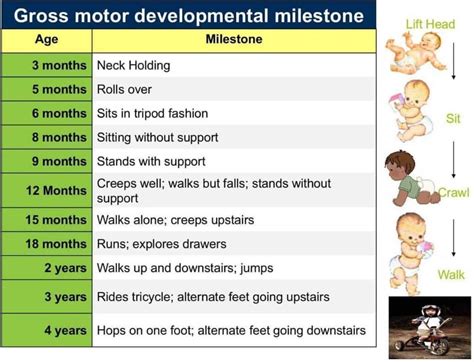 Baby Walking Age Chart