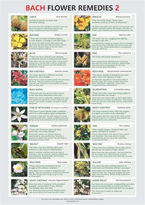Bach Flower Remedy Chart