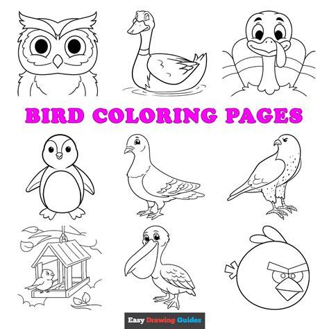 Backyard Bird Coloring Books Kids Free Printable