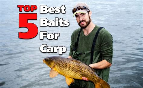 Bait and Lures for Carp Fishing