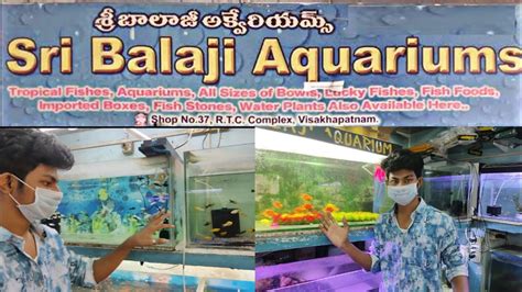 Balaji Aquarium & Pet's Spa