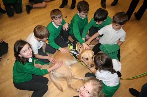 Bales Buddies Therapy Dogs