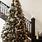 Balsam Hill Christmas Tree