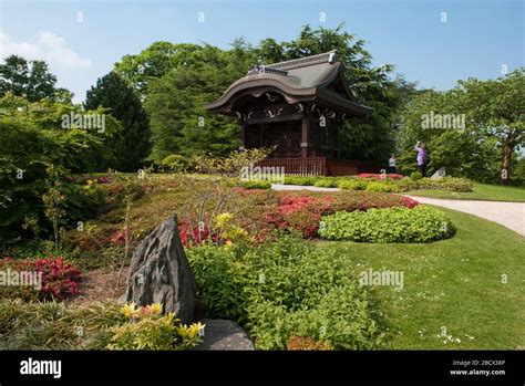 Bamboo Garden and Japanese Minka House