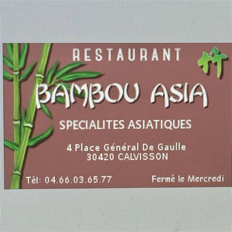 Bambou Asia à Calvisson