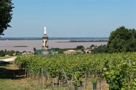 Banc de Plassac à Plassac