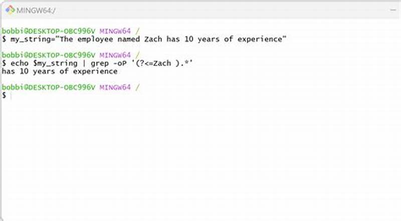 Bash Extract String After Pattern
