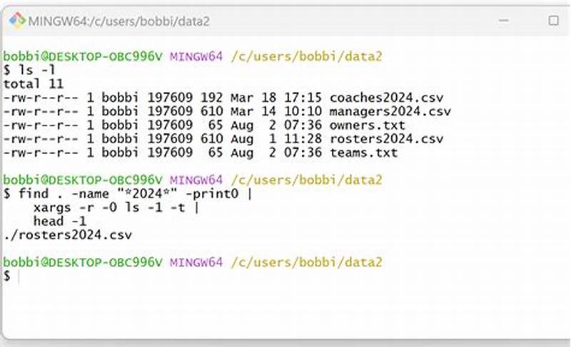 Bash Find First File Matching Pattern