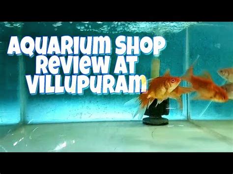 Basha Bai Aquarium Fish& Pet Shop
