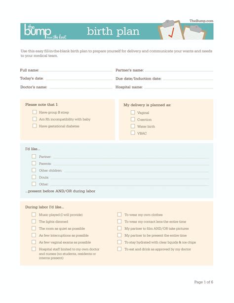 Basic Birth Plan Template