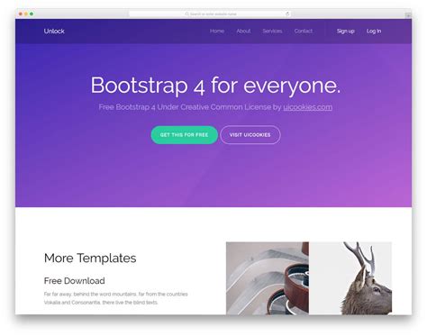 Basic Css Template
