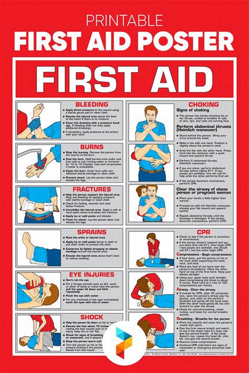 Basic First Aid Guide Printable