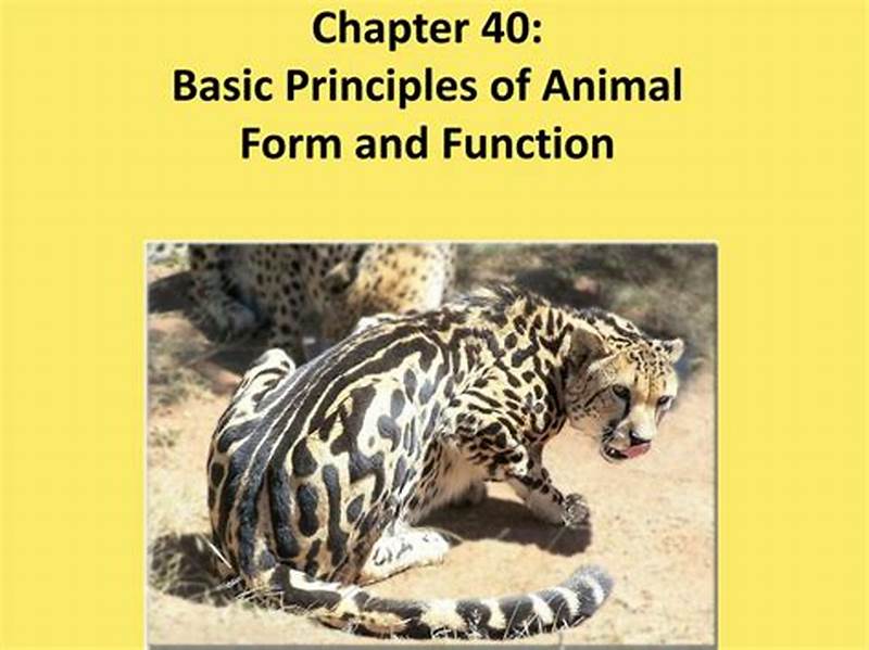 Basic Principles Of Animal Form And Function