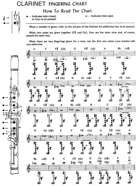 Bass Clarinet Notes Chart