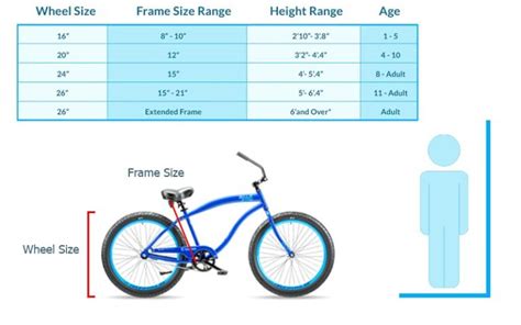 Beach Cruiser Bike Size Chart