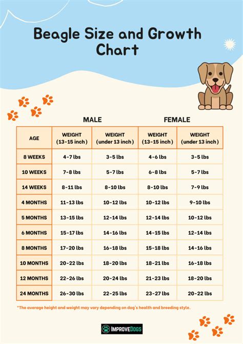 Beagle Growth Chart