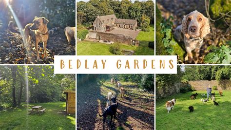 Bedlay Gardens - Dog Day Care, Dog Walking & Home Boarding