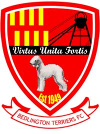 Terriers FC