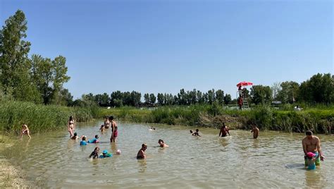 Beesolis à Saint-Jory