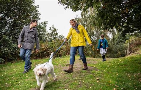 Beeston dog Walker