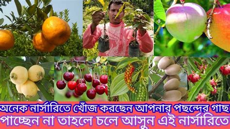 Bengal Plants