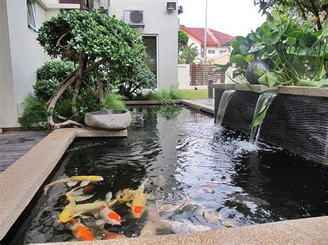 bentuk kolam ikan depan rumah